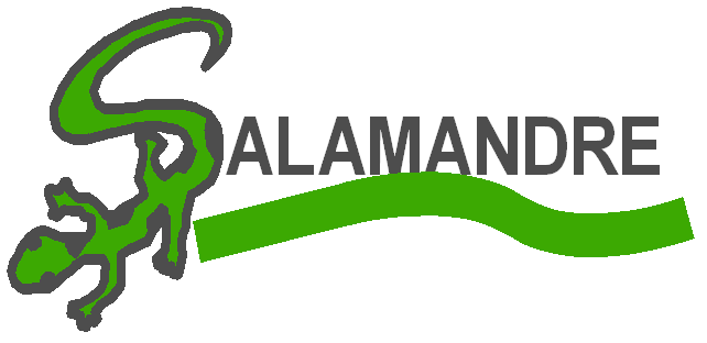 Salamandre